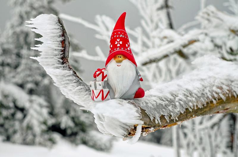 Weihnachtswichtel sitzt auf verschneitem Baum